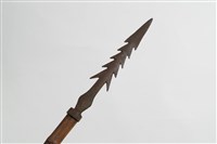 槍藏品圖，第4張